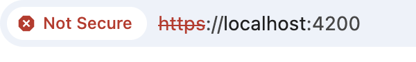 Accepting the self-signed certificate warning for the local dev server